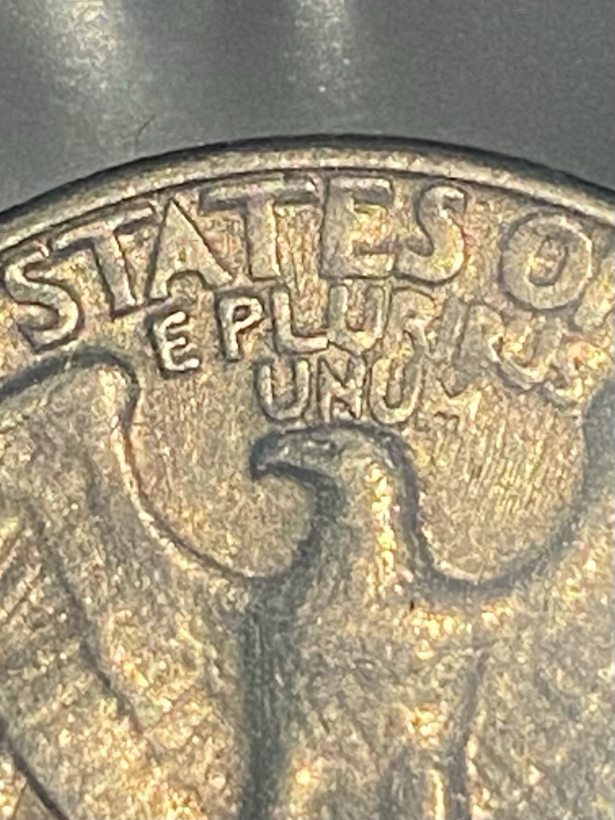 Picture 12 of 17