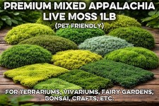 Premium Live Sheet Moss Mix   Bonsai, Terrarium, Vivarium, Fairy Gardens 18oz