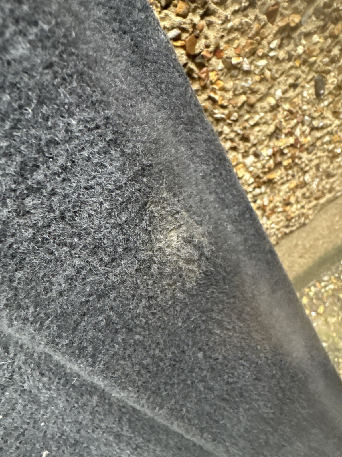 Picture 5 of 8