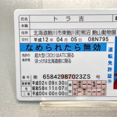 Nameneko Drivers License ID Card Torakichi Cat TCG Card Japan