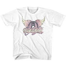 Aerosmith Pastel Color Freedom Wings Logo Youth T Shirt Rock Band Music Merch