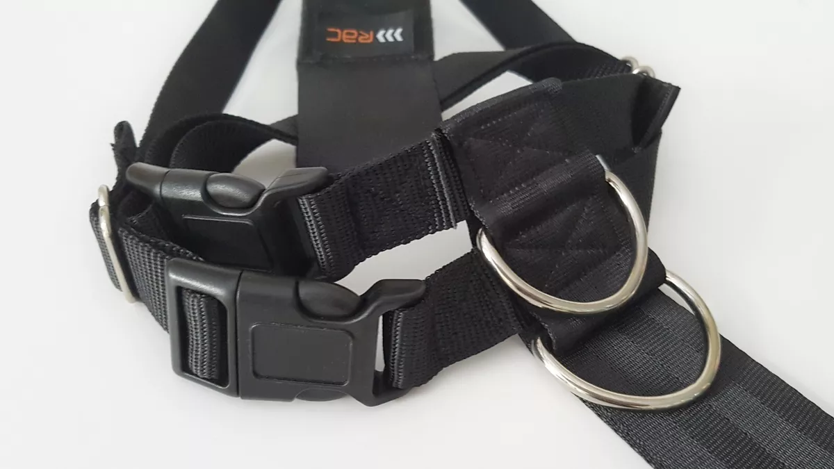 Rac dog seat belt cheap