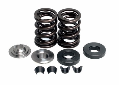 Kibblewhite Racing Valve Spring Warrior Raptor Wolverine Grizzly Big Bear 350