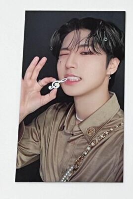 STRAY KIDS THE SOUND HAN Official Photocard SKZ JAPAN STRAY KIDS THE SOUND HAN Official Photocard SKZ JAPAN