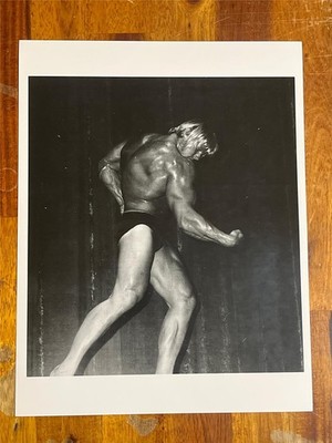 DAVE DRAPER bodybuilding muscle photo (rp)