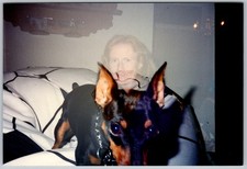 Vtg Color Snapshot Woman With Miniature Pinscher Dog On Couch Home 1990s