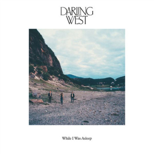 Альбом Darling West, пока я спал (CD) (ИМПОРТ из Великобритании)