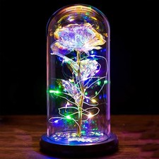 Colorful Rose Gifts, Galaxy Crystal Flower in Glass Dome Decoration