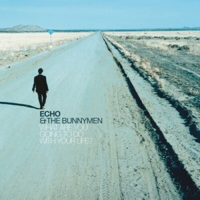 Echo & The Bunnymen WHAT ARE YOU GOING TO DO WITH YOUR LIFE New Colored Vinyl LP