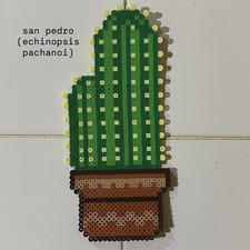 San Pedro Psychoactive Plant Perler Beads Creation Wall Decor Art