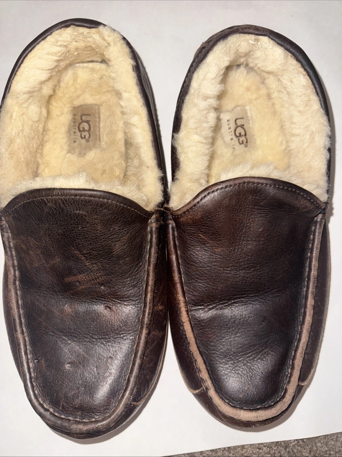 UGG Australia Mocassino Uomo Ascot Pelle Ciabatte Marrone Taglia 10 5 Foderato Pelle di Pecora