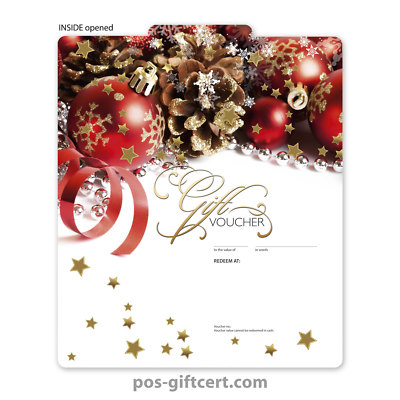 Gift vouchers for christmas X293GB