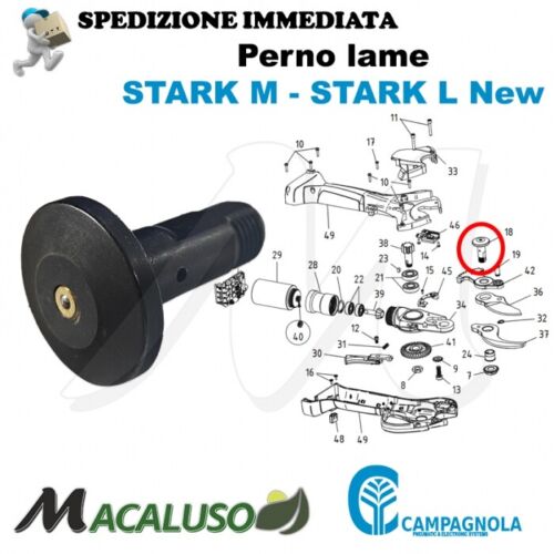 Perno lame forbice Stark M - Stark L New Campagnola Y125 0101 - Foto 1 di 1
