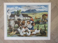 Antique School educational Lithograph Print - Mixed farming in Eire - Ireland