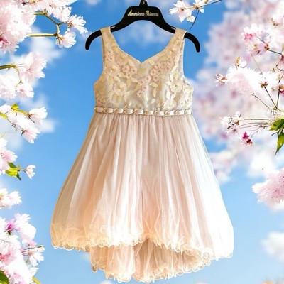 sachin and babi light blue dress Blush Pink Embroidered Indian Cotton Dresses main image 0