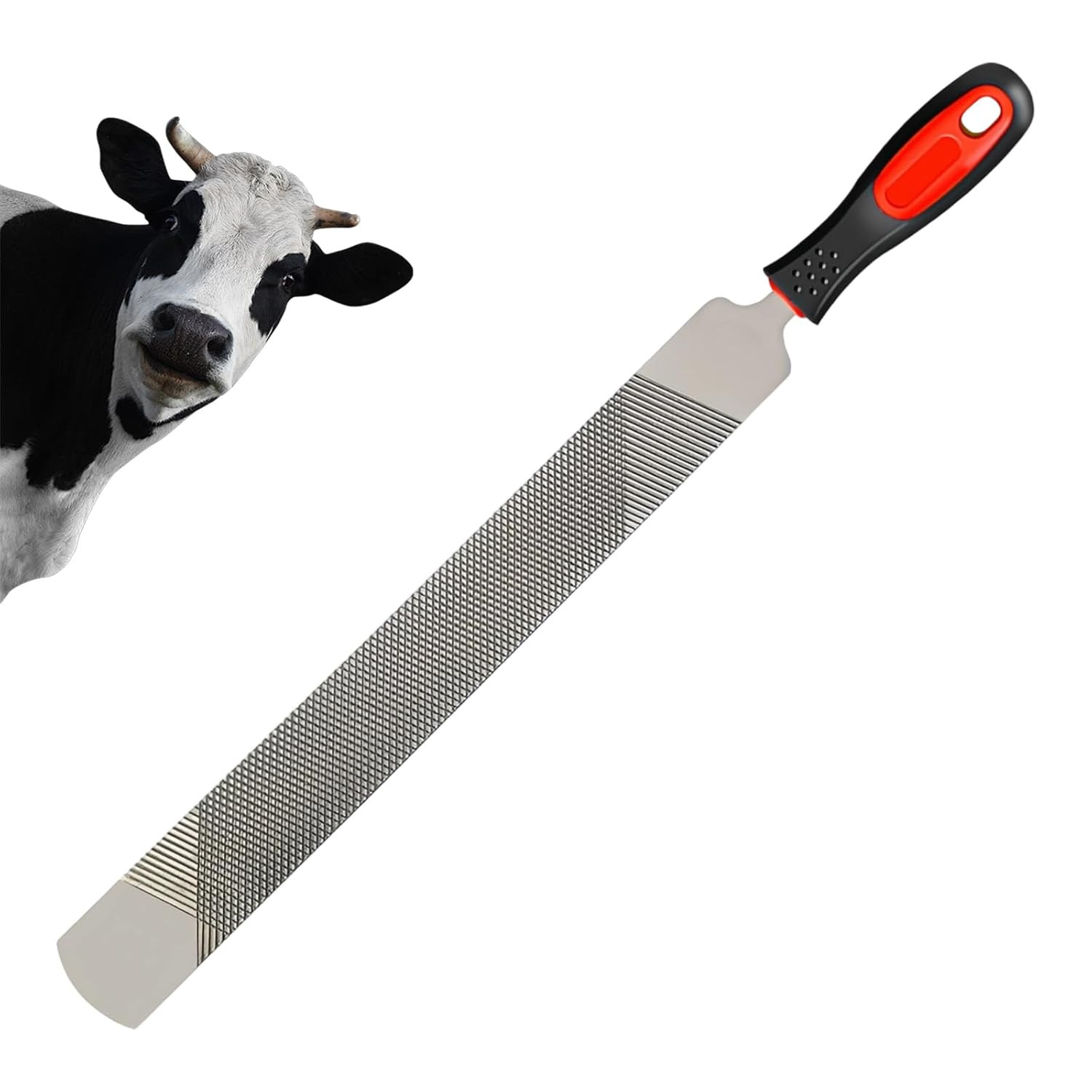 Lima per Zoccoli Professionale 200mm - Acciaio Carbonio T12 Doppia