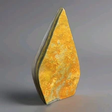 Natural 3" Bumblebee Jasper Rough & Polished Freeform 82g - USA