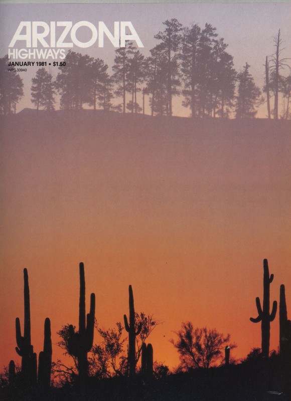 Arizona Highways January through December except April 1981 11 issues