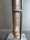 Antique D. R. Congo Whistle — photo 4