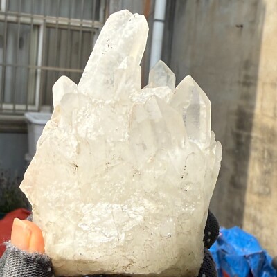 421g Natural Clear Quartz Cluster Crystal Mineral Healing