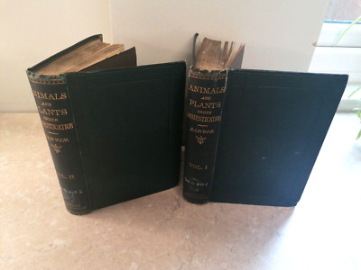 1888 CHARLES DARWIN - VARIATION ANIMALS & PLANTS 2 VOLS evolution heredity illus