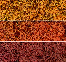 Woodland Scenics L165 Lichen Bag, Autumn Mix (82 cu. in.)