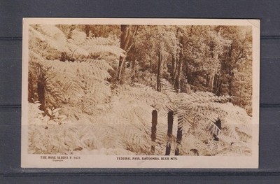 NEW SOUTH WALES, FEDERAL PASS, KATOOMBA, BLUE Mts., 1907 ppc., used.