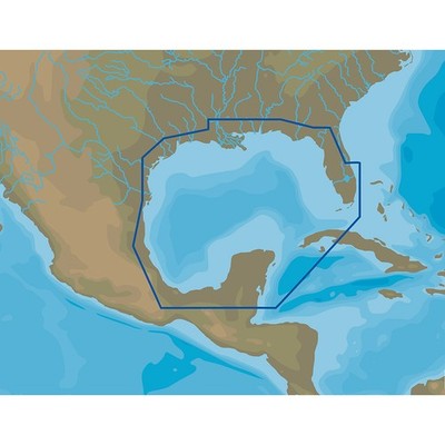 C-MAP M-NA-D064-MS 4D NA-D064 Gulf of Mexico microSD /SD 