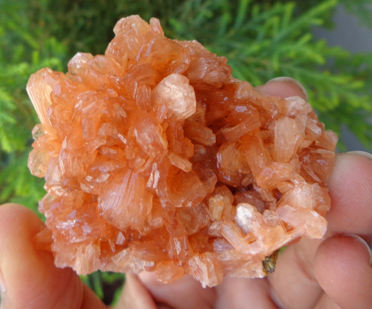 Minerals Bright Orange Crystal Orange Crystal Rock 2025