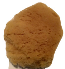 NATURAL SEA SPONGE REUSABLE MAKEUP ARTISTS APPLICATOR BY MEHRON  