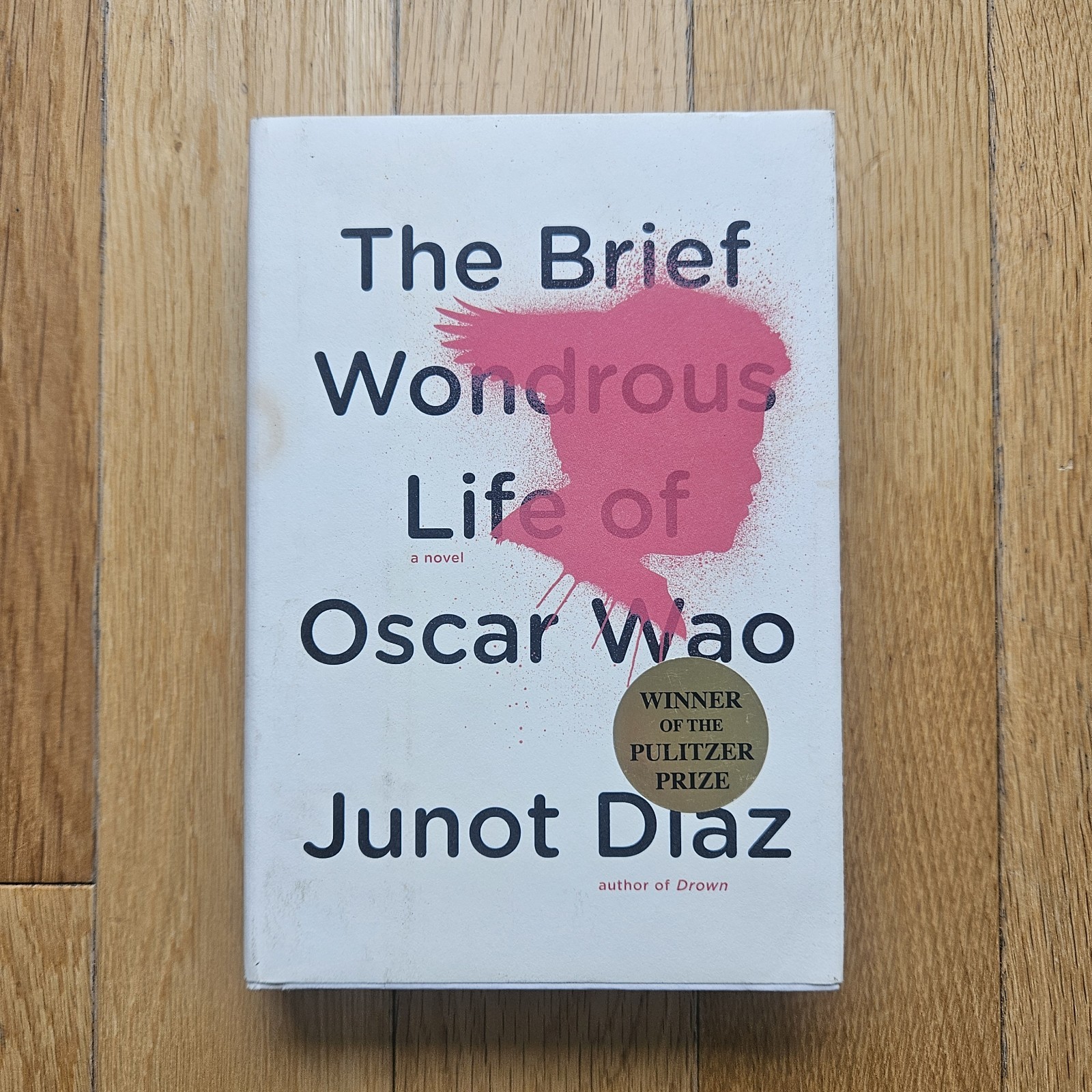 The Brief Wondrous Life of Oscar Wao by Junot Díaz (2007 Hardcover)