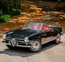 1965 Alfa Romeo Giulia Spider Veloce