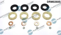Dichtungssatz, EinspritzdüSe Dr.Motor Automotive DRM0268S Passend FüR Fiat
