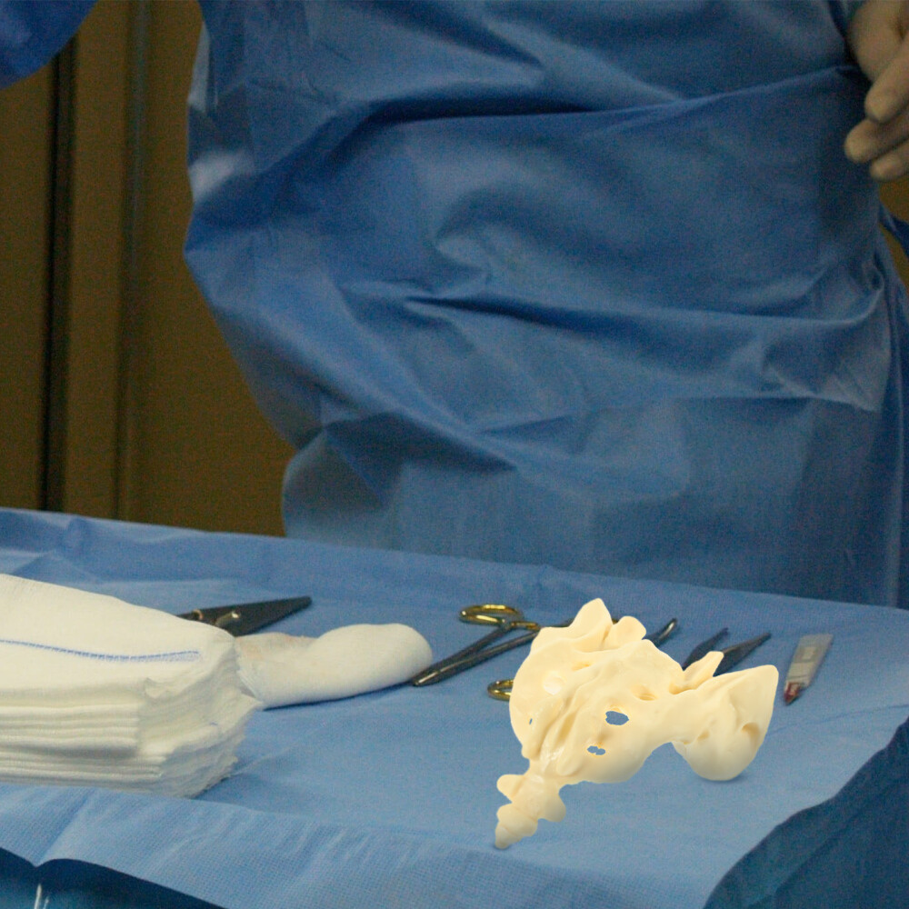 White Pvc Healthy Sacrum Lumbar Vertebrae Model Human Spine