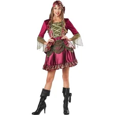 Lady Pirate She-Pirate Womens Costume Dress - Medium (8/10)
