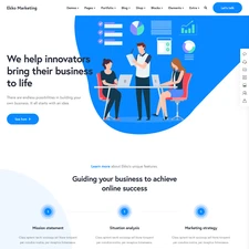 Marketing Agency Websites Design for Sale with Free VPS Web Hosting