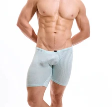 N2N Bodywear Men's Pinstripe Biker Short, L Blue Sky Stripes NWT