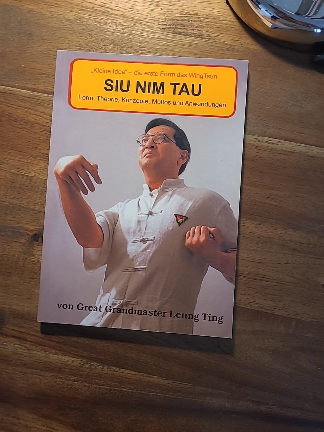 GGM Leung Ting, Siu Nim Tao, Form, Theorie, Hauptpunkte, Mottos, mit Anwendungen