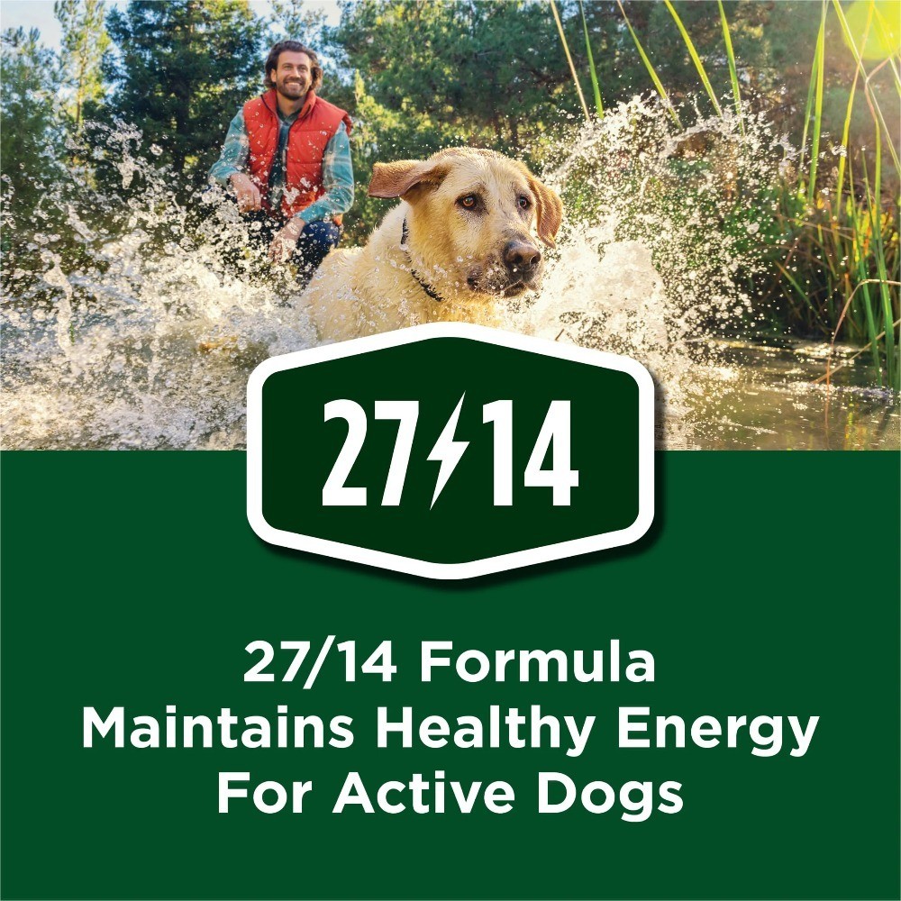 High Protein Muscle Support Dry Dog Food with Real Beef 18 lb Bag for Adult Dogs