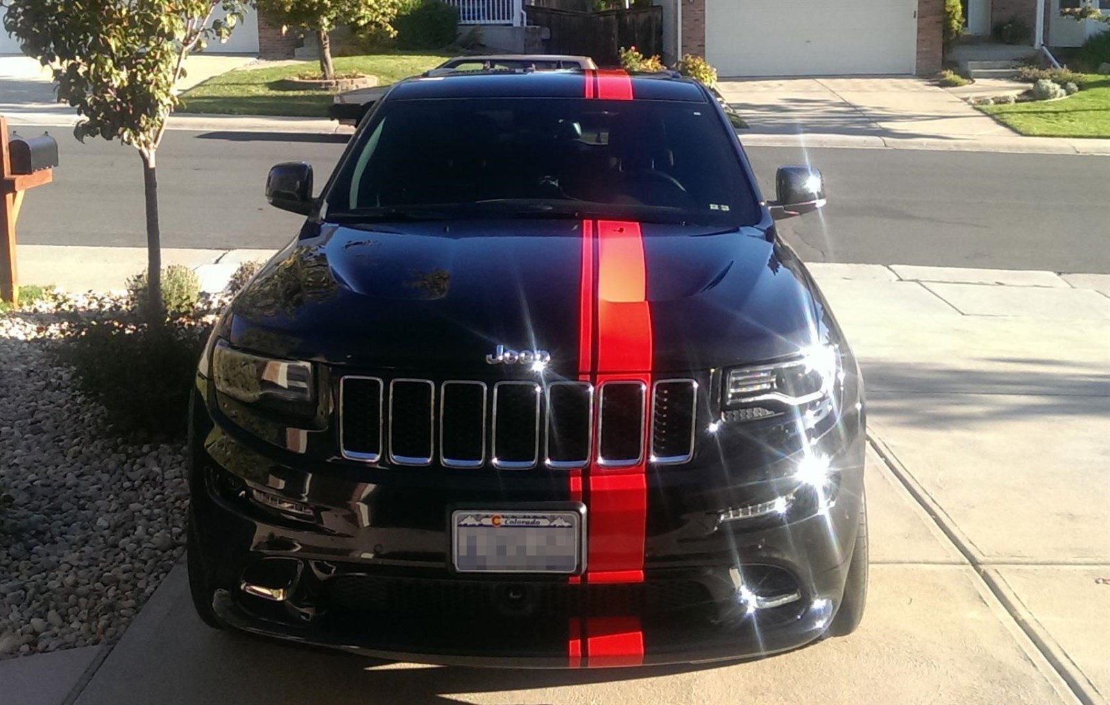 Picture 1 of 1