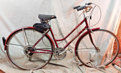 1985 Schwinn World Tourist Cruiser Bike 17