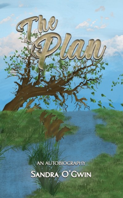 The Plan by Sandra O'Gwin (Hardback Book)