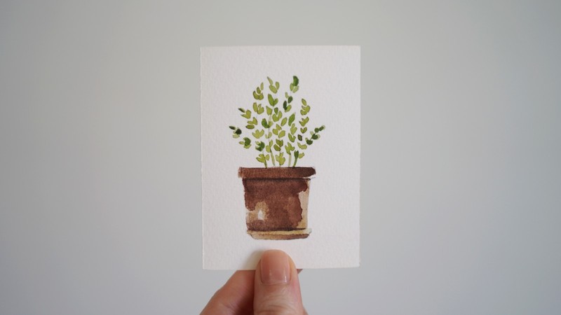 ACEO Print - Watercolor painting - Titled "Thyme in Terracotta"