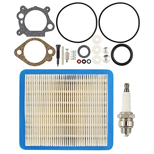 Carburetor Rebuild Kit for Briggs 498260 492495 493762 5HP Quantum ...