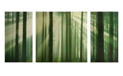 Dreiteiliger Wald Leinwand Holzrahmen Wandbild Wohndeko 19,5 x 38,5 Fuß insgesamt