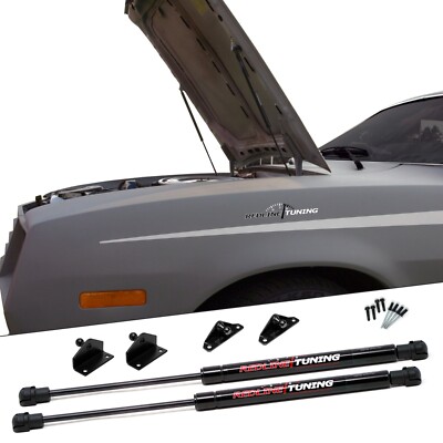 Redline Tuning 21-11019-02 Hood QuickLIFT PLUS System Ford