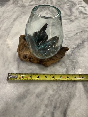 Molten Glass On Teak Driftwood Decorative Bowl Vase Terrarium Planter Home Decor