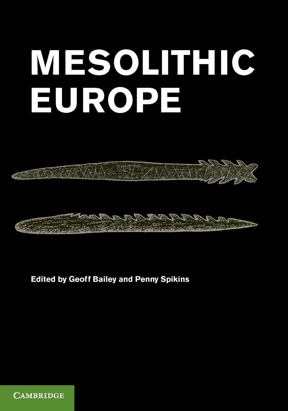 Thumbnail - Penny Spikins | Mesolithic Europe | Taschenbuch | Englisch (2010) |