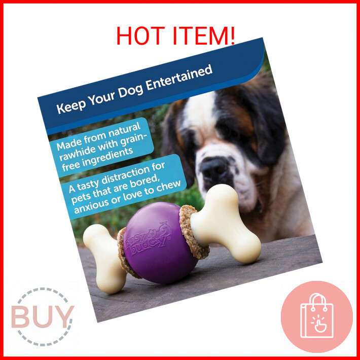 PetSafe Busy Buddy Bouncy Bone Treat-Holding Toy for Dogs - Scented Stimulation 