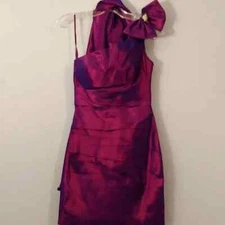  Anny Lee Iridescent Purple Dress with Matching Shrug 